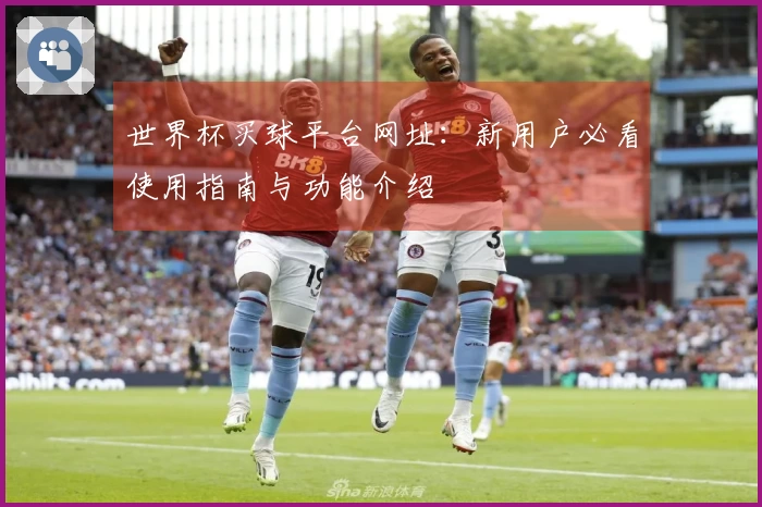世界杯买球平台网址：新用户必看使用指南与功能介绍