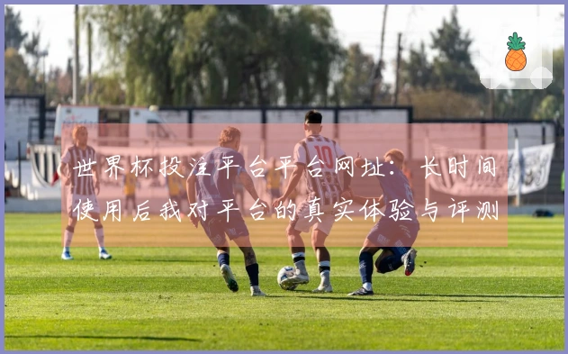 世界杯投注平台平台网址：长时间使用后我对平台的真实体验与评测分享
