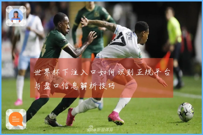 世界杯下注入口如何识别正规平台与盘口信息解析技巧