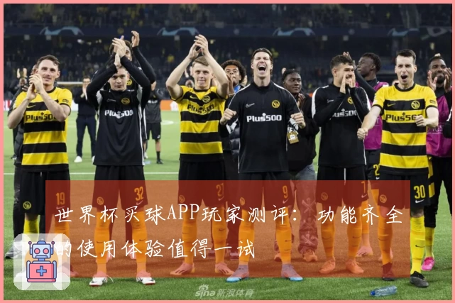 世界杯买球APP玩家测评：功能齐全的使用体验值得一试