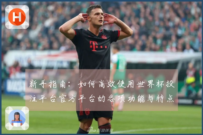 新手指南：如何高效使用世界杯投注平台官方平台的各项功能与特点