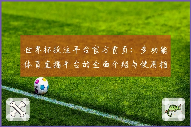世界杯投注平台官方首页：多功能体育直播平台的全面介绍与使用指南