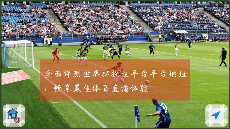 全面评测世界杯投注平台平台地址，畅享最佳体育直播体验