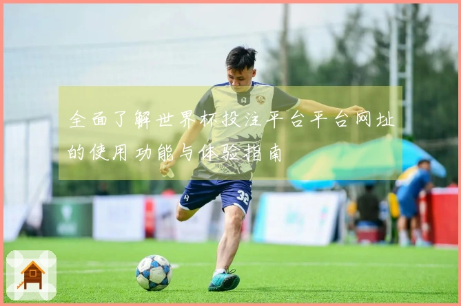 全面了解世界杯投注平台平台网址的使用功能与体验指南