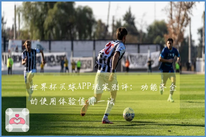 世界杯买球APP玩家测评：功能齐全的使用体验值得一试