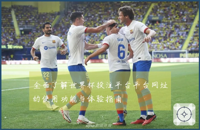 全面了解世界杯投注平台平台网址的使用功能与体验指南