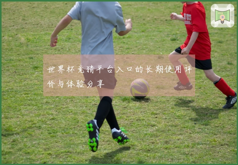 世界杯竞猜平台入口的长期使用评价与体验分享