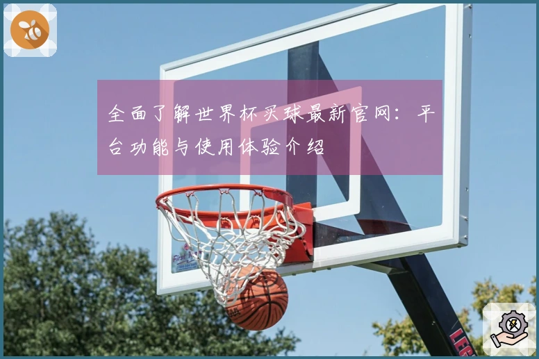 全面了解世界杯买球最新官网：平台功能与使用体验介绍