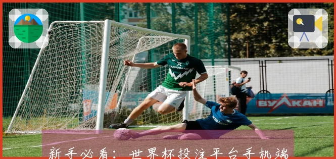 新手必看：世界杯投注平台手机端的使用教程与功能介绍