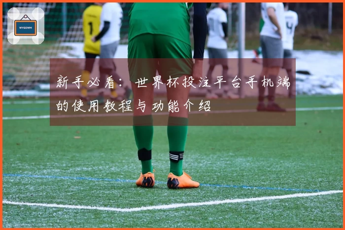 新手必看：世界杯投注平台手机端的使用教程与功能介绍