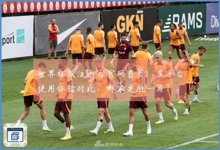 世界杯投注平台官网首页：多平台使用体验对比，哪家更胜一筹？